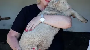 Gunn Anne, la empresaria que se enamoró de las lanas uruguayas.