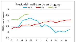Precios: siguen siendo muy atractivos para los productores ganaderos.