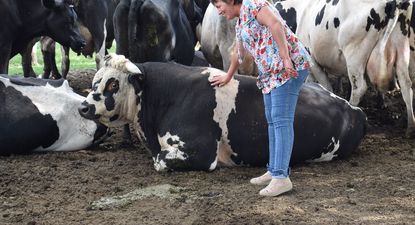 Mujeres rurales: pilar en los sistemas productivos en Uruguay.