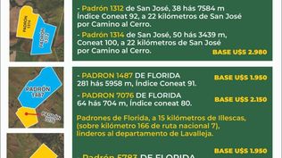 Asuán remata cinco fracciones de campo en Florida y San José