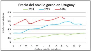 Mercado ganadero: así se ha movido el novillo.