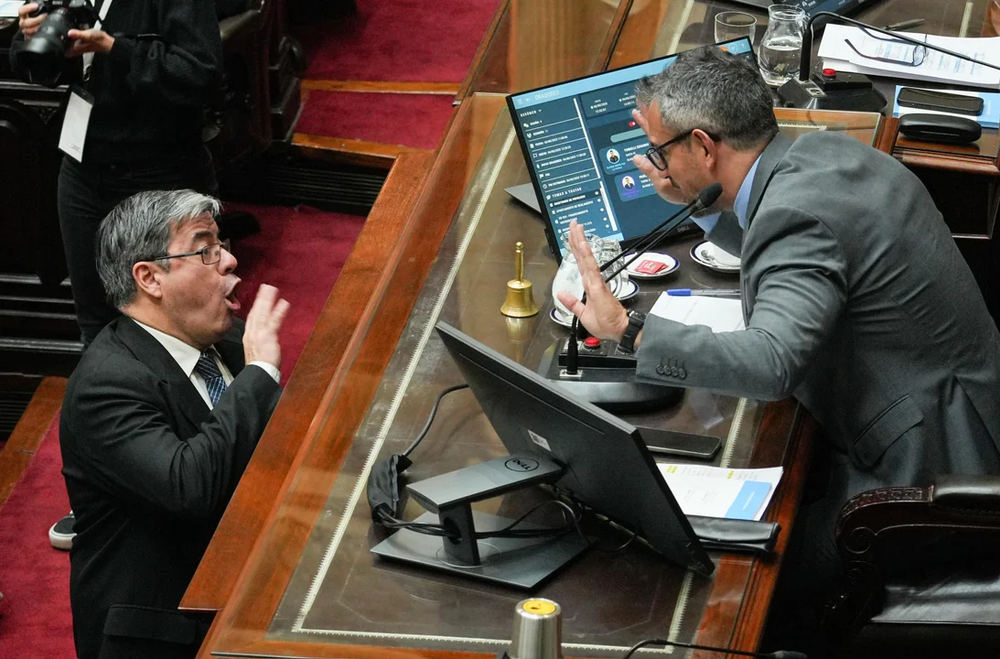 Pelea por el r&eacute;gimen de los DNU.