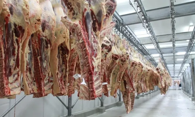 La carne se viene salvando en la caída de precios de los commodities
