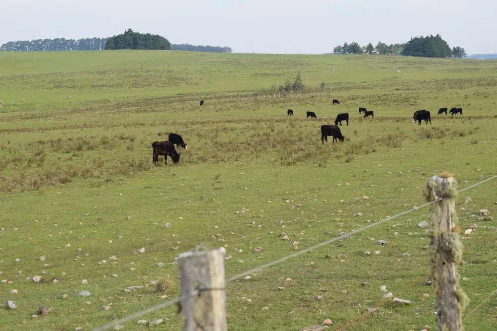 La FR se expresó sobre la realidad de Colonización.