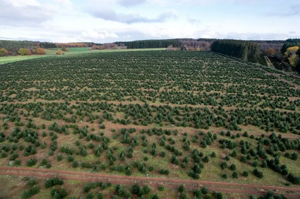 La tierra, dice Bollig, ha sido tierra de cultivo desde al menos el año 1600, pero probablemente desde que existe la agricultura en esta parte del mundo.