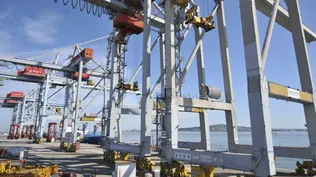 TCP cuestiona y refuta los argumentos que manejaron Bergara y Carreras.