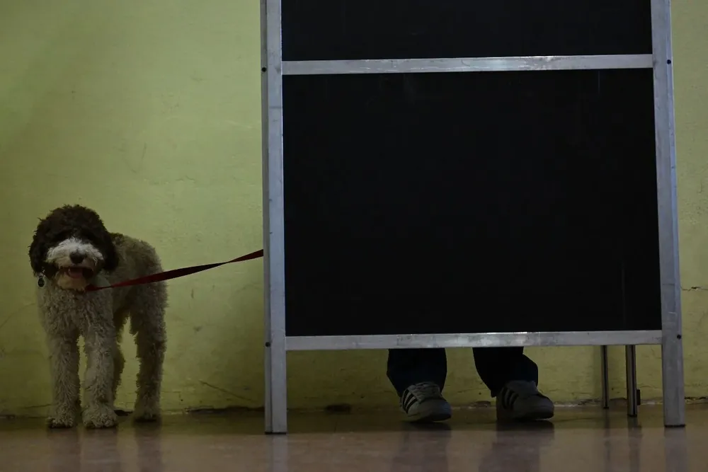 La participación está por debajo de comicios anteriores.