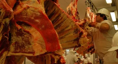 Exportaciones de Uruguay a la Unión Europea