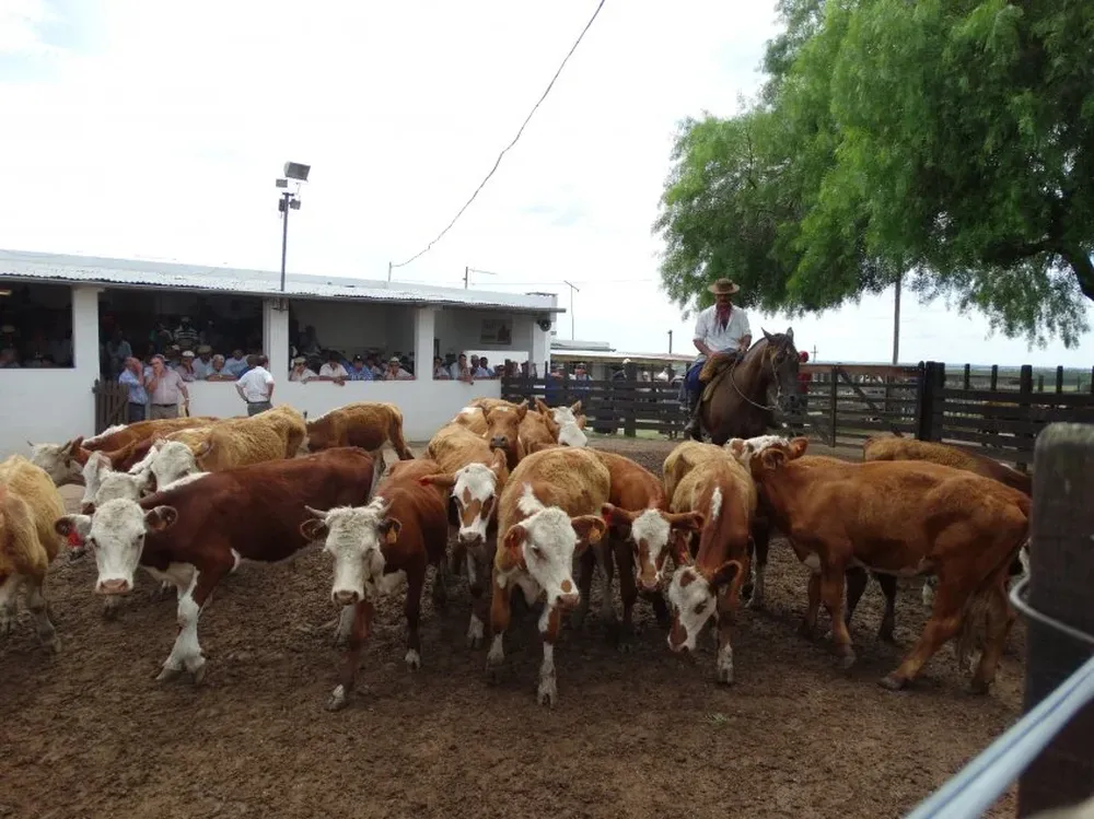 El local Cuchilla de Silvera está ubicado en el kilómetro 99 de la ruta 8