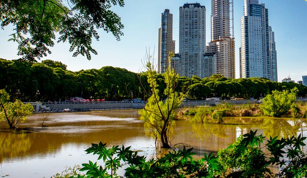 El caso de éxito que transformó para siempre la Costanera Sur de la Ciudad