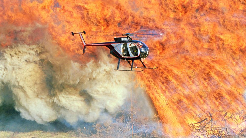 En agosto de 2023, incendios forestales arrasaron Lahaina, la ciudad más histórica de Hawái, en el corazón de Maui.