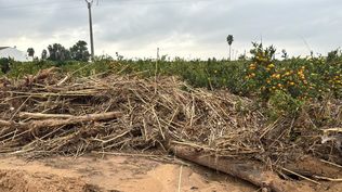 Limpieza de un cauce de la CHJ.