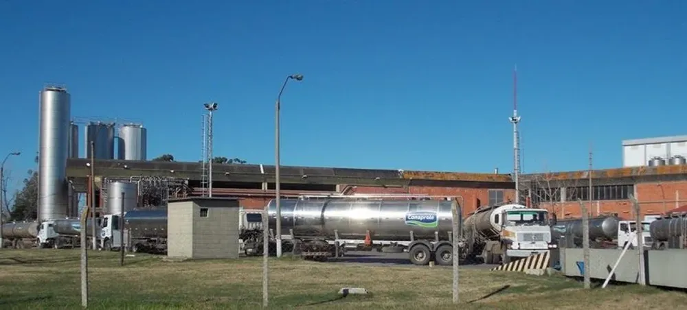 Conaprole: advirtió sobre atrasos en la recolección de leche de los tambos.