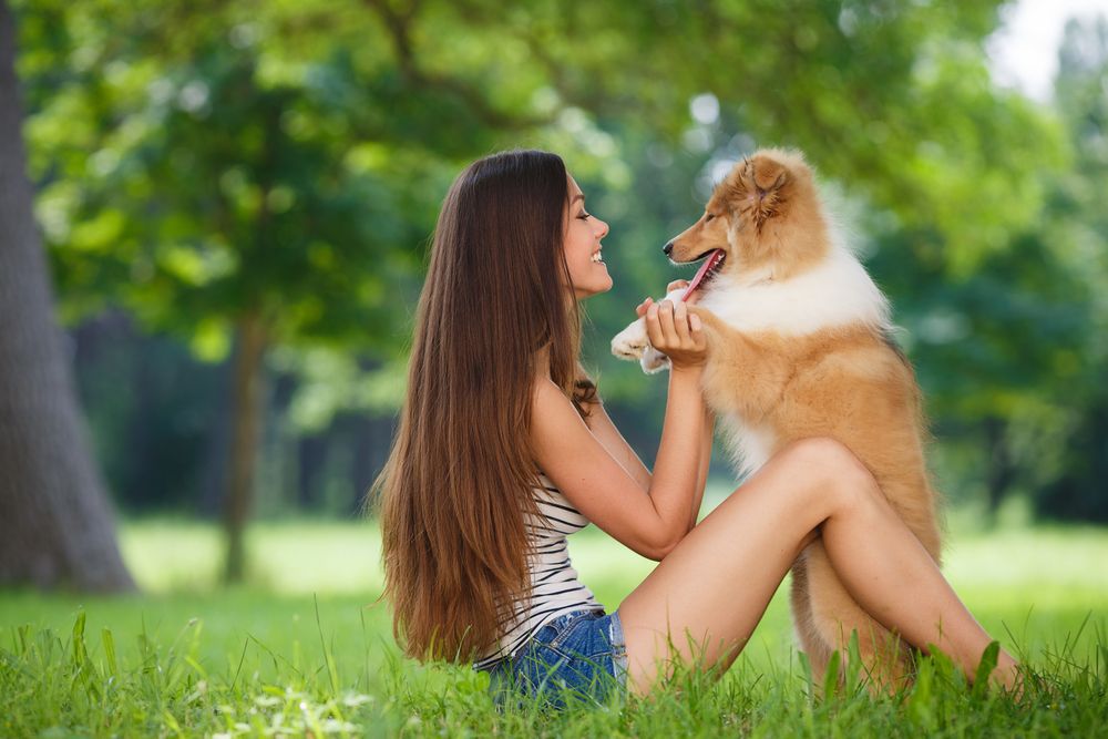 Tener un perro en casa incentiva a realizar más ejercicio físico, promoviendo un estilo de vida más activo y saludable.
