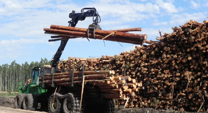 Indiustria forestal en Uruguay