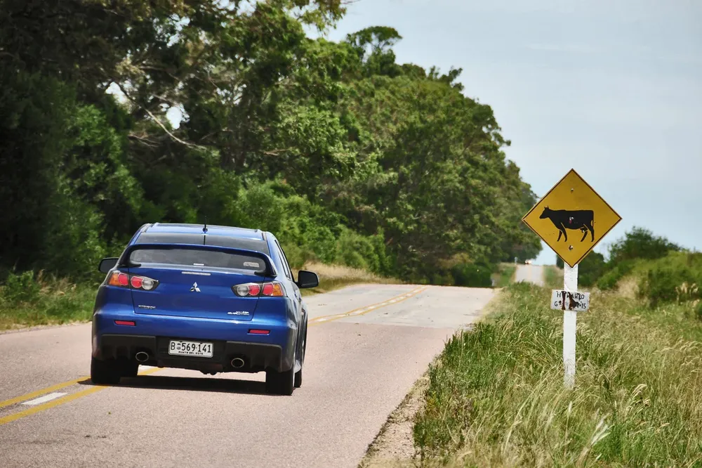 La ruta 10 une a la Laguna de Rocha con Cabo Polonio y Aguas Dulces