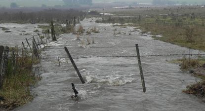 El Observador | DSCN7890.jpg