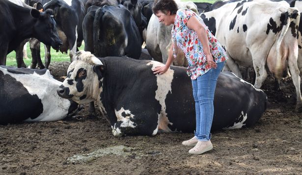 Mujeres rurales: pilar en los sistemas productivos en Uruguay.