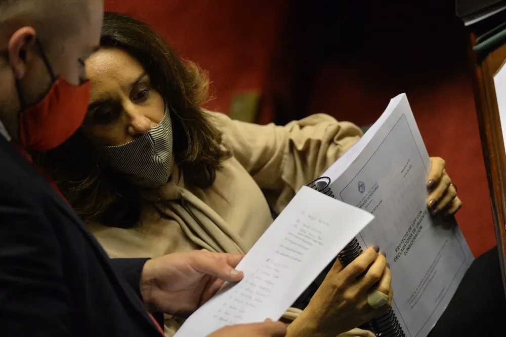 Carmen Sanguinetti, una de las firmantes del proyecto.