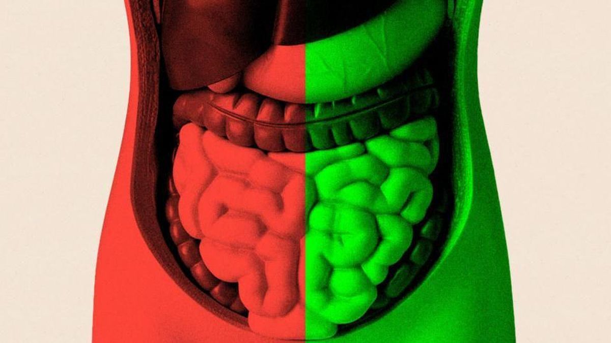 Pasé meses tratando de averiguar si mejorar mi salud intestinal podría ayudarme a envejecer mejor