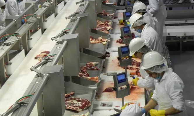 La industria frigorífica mantiene su fuerte dinamismo en el arranque de 2022.