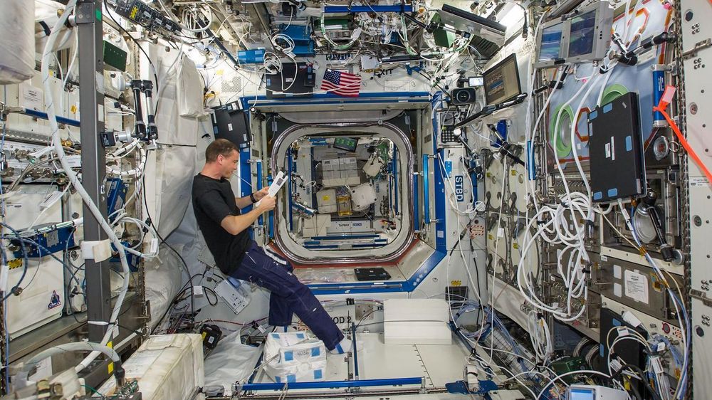 Wiseman pasó seis meses como ingeniero de vuelo en la Estación Espacial Internacional durante la Expedición 41, en 2014.