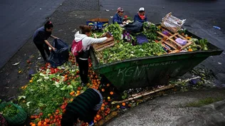 Contenedor con descarte de frutas y verduras.