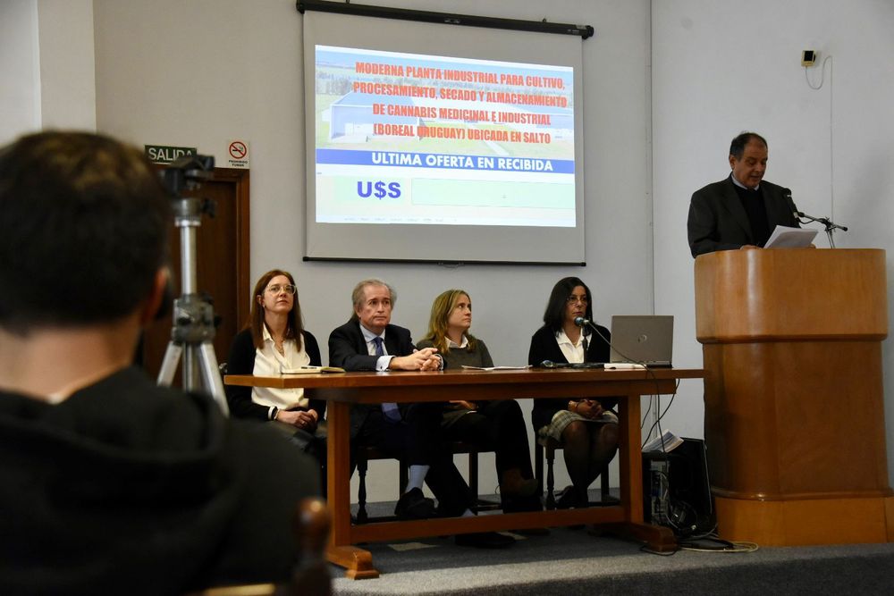 WhatsApp Image 2024-08-27 at 9.23.51 PM.jpeg