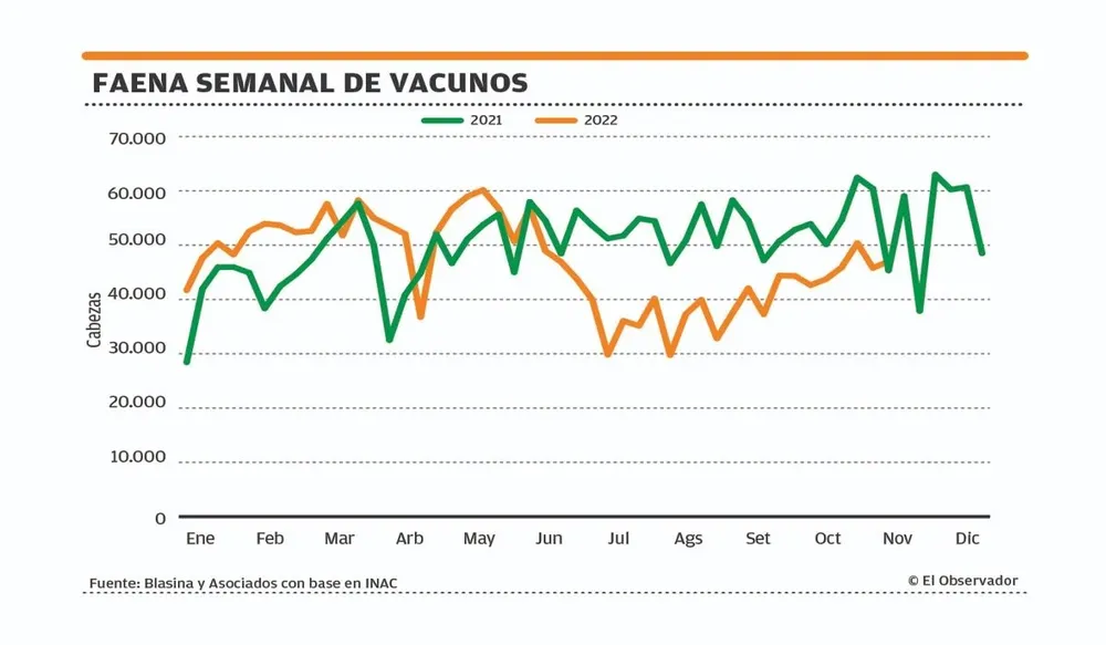 Faena semanal de vacunos.