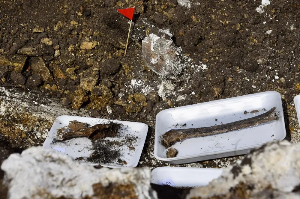 Restos óseos encontrados en el Batallón N° 14 el 5 de junio