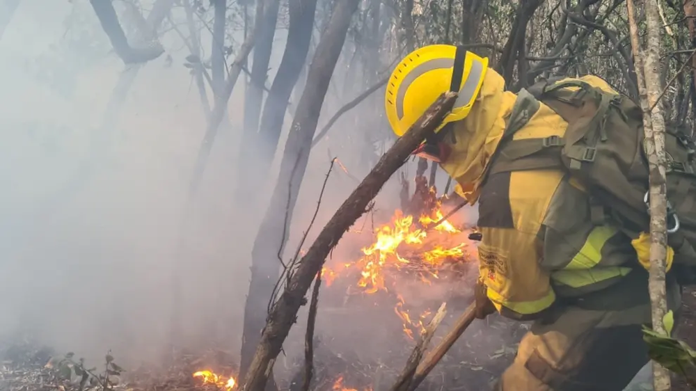 Un bombero forestal lucha contra un incendio en España.&nbsp;