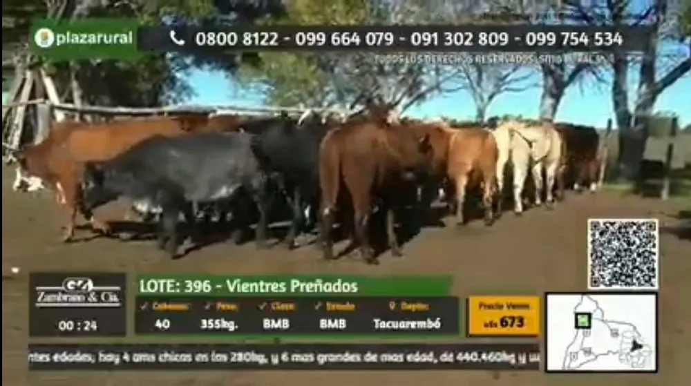 El remate se desarrolló en tres jornadas virtuales.