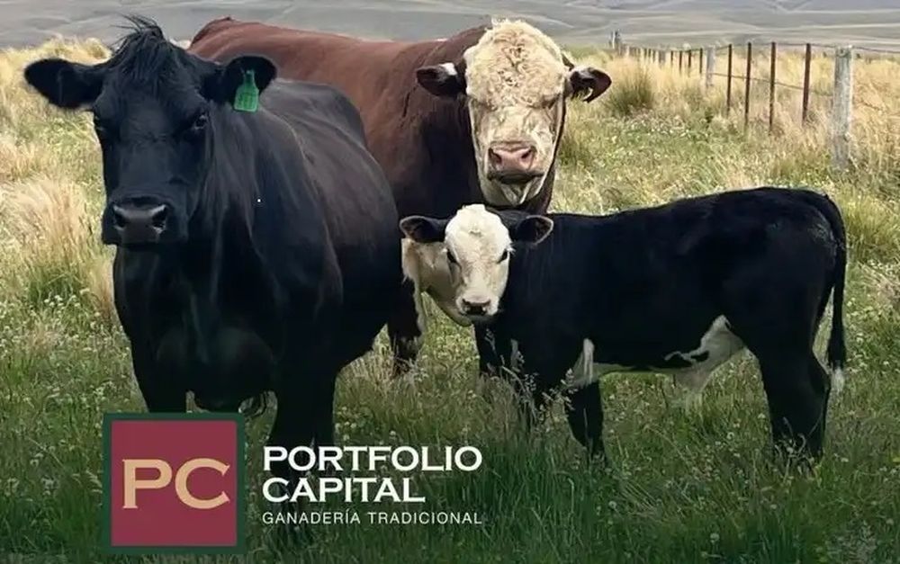 WhatsApp Image 2025-05-21 at 7.43.34 PM.jpeg