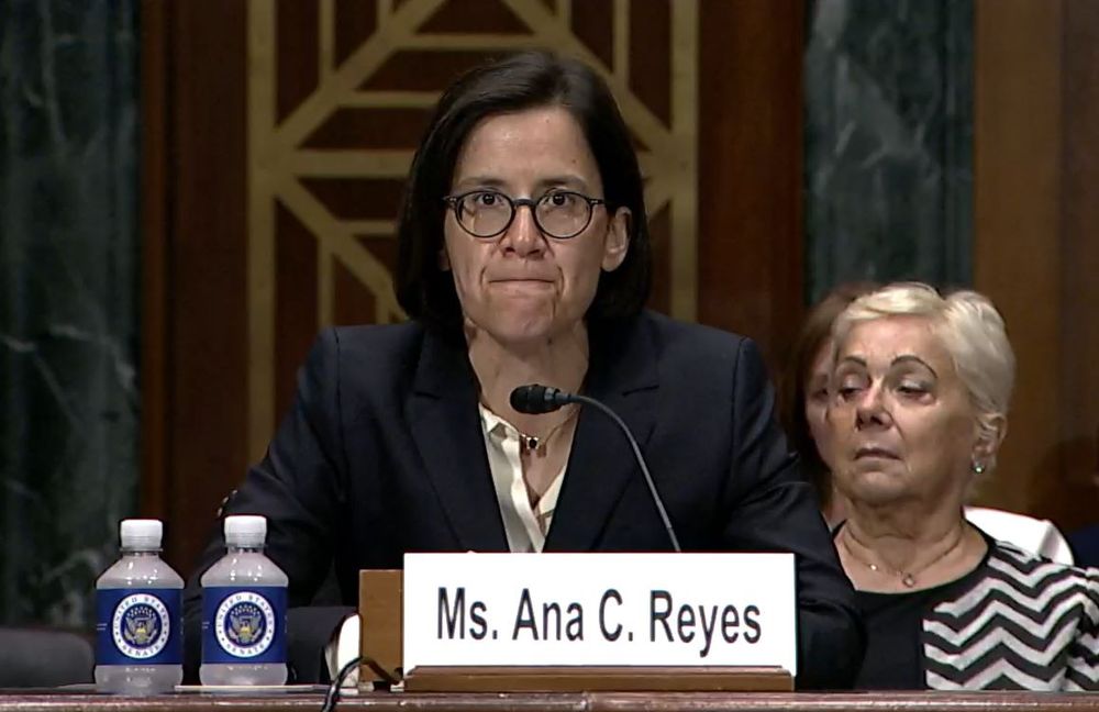 Ana Reyes.jpeg