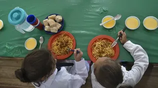 Alimentación escolar