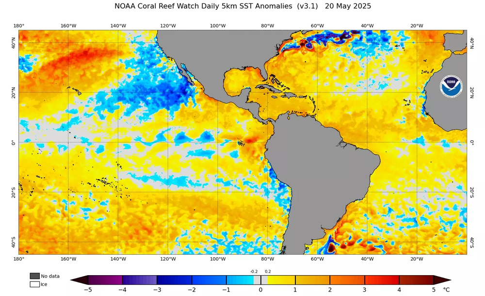 Metsul presentó el estado de los fenómenos climáticos en el Pacífico Ecuatorial