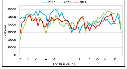 Mercado ganadero, Blasina y Asociados.
