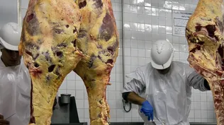 Conflicto en la industria frigorífica&nbsp;