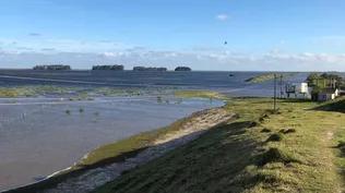Laguna Merín