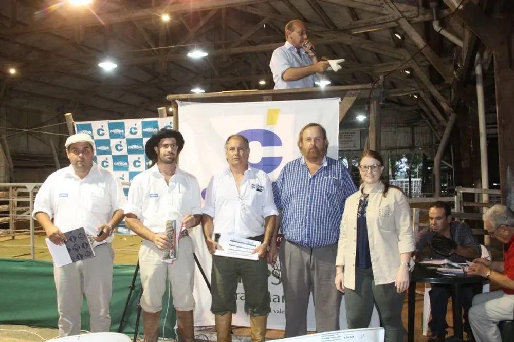 Muchos interesados realizaron ofertas a distancia