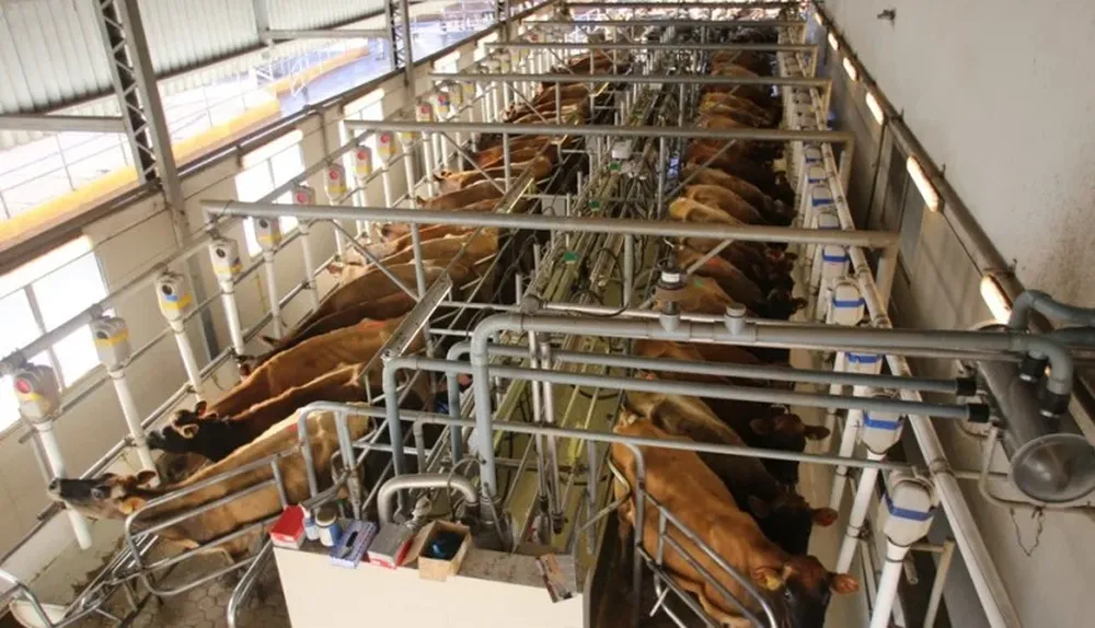 0000020099.webp