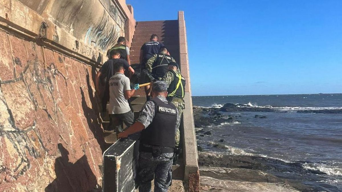 Imagen noticia completa