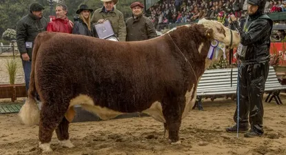 El Observador | 0001725724.webp