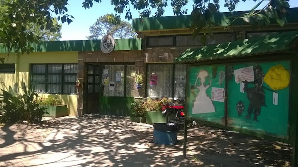Escuela N°183