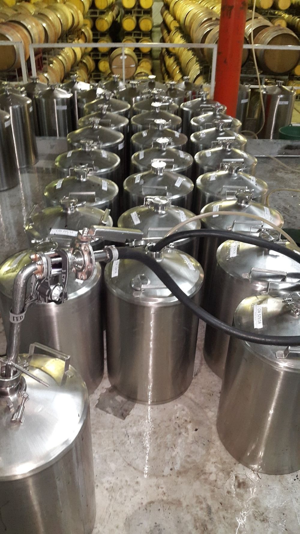 Tanques de microvinificaciones bajo condiciones estandarizadas de las uvas de diferentes parcelas utilizadas en el estudio.