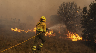 Bomberos luchan contra el feroz incendio en Zamora.