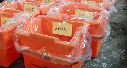 corte electoral lleva 80% de los votos procesados y manana comienza el escrutinio final