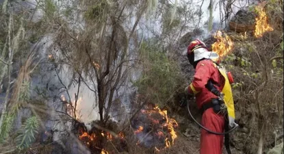 Un bombero combate las llamas en el incendio de Tenerife