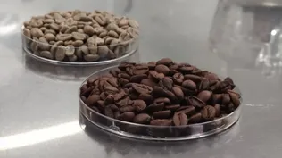 Café verde utilizado como materia prima y el tradicional café tostado