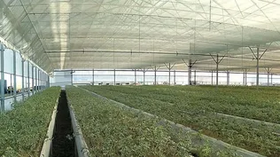 Primeros indicios de crecimiento de la economía en el primer trimestre